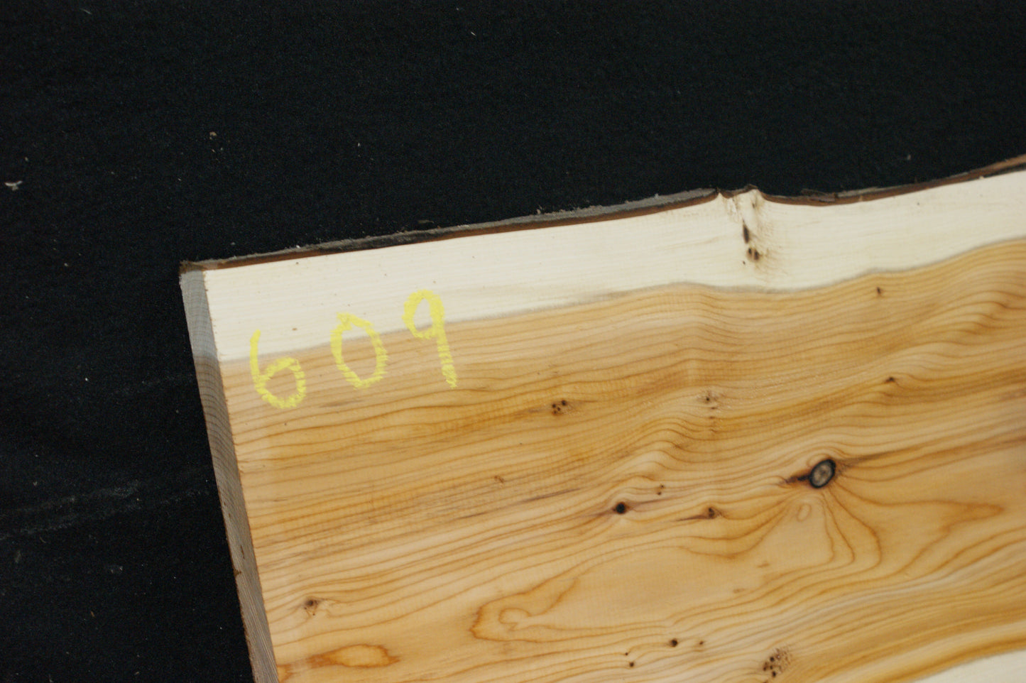 English Yew Shelf. (609)