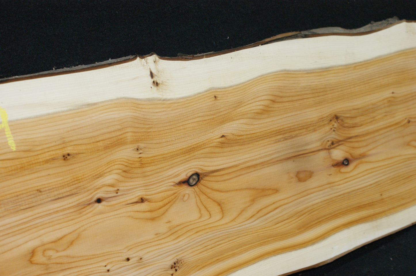 English Yew Shelf. (609)