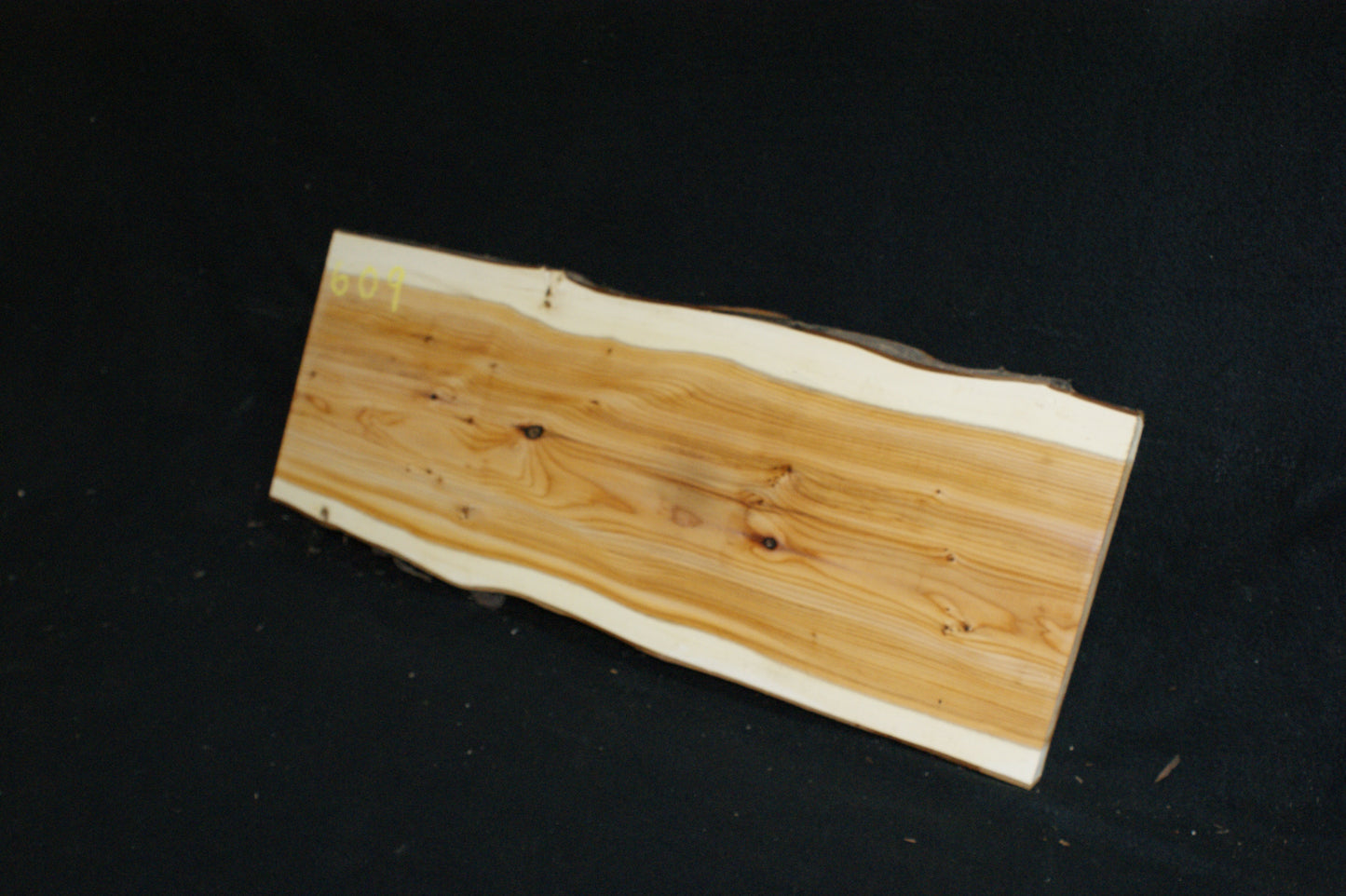 English Yew Shelf. (609)