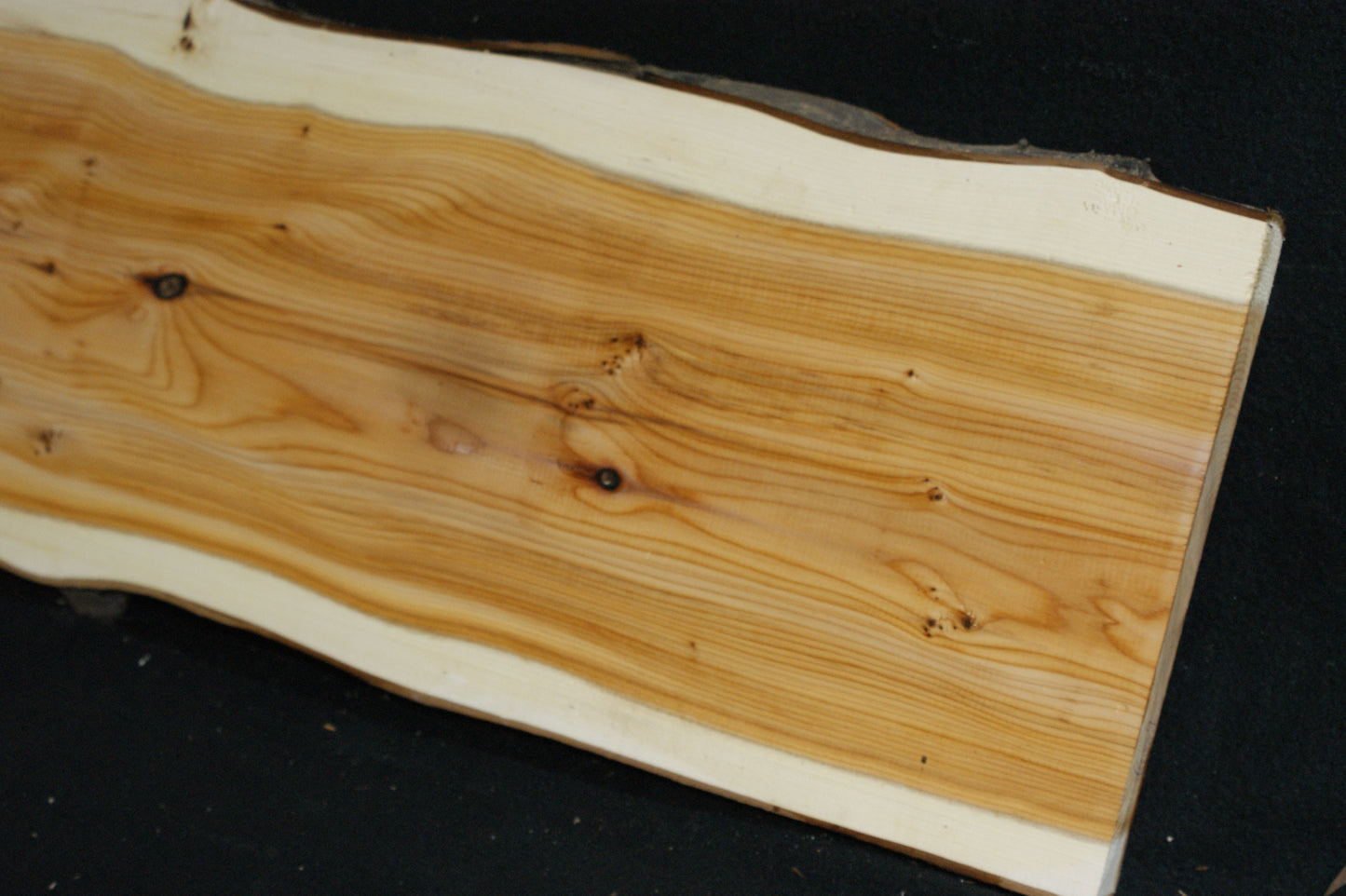 English Yew Shelf. (609)