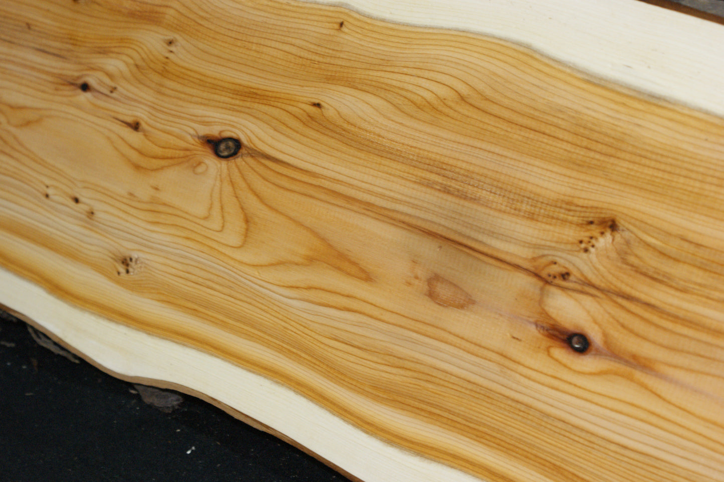 English Yew Shelf. (609)