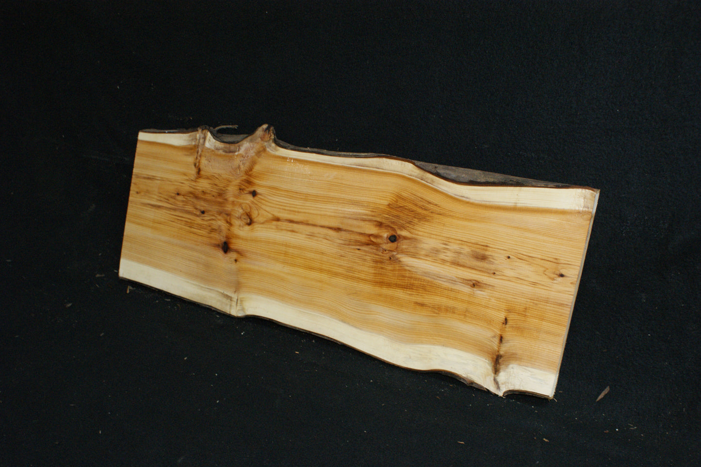 English Yew Shelf. (609)