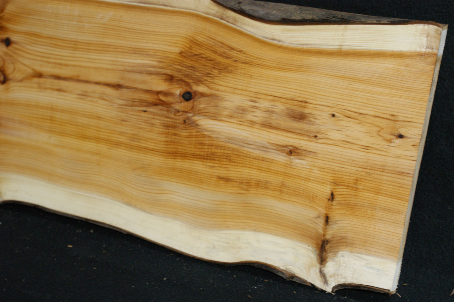 English Yew Shelf. (609)