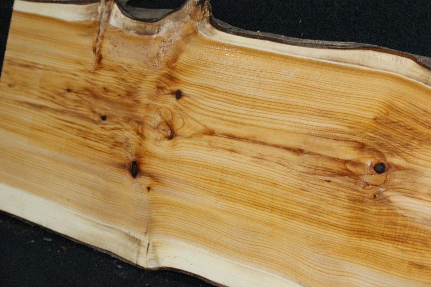 English Yew Shelf. (609)
