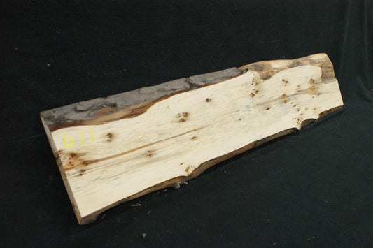English Yew Shelf. (611)