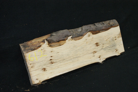 English Yew Shelf. (612)