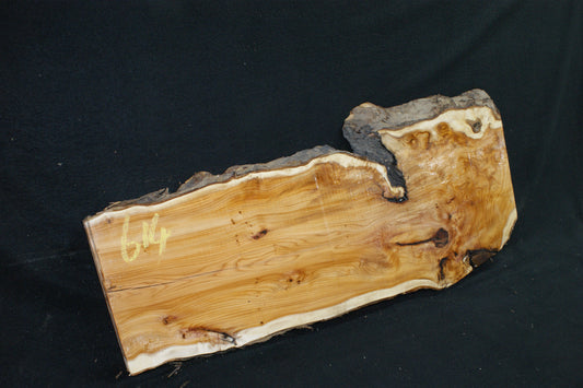 English Yew Shelf. (614)