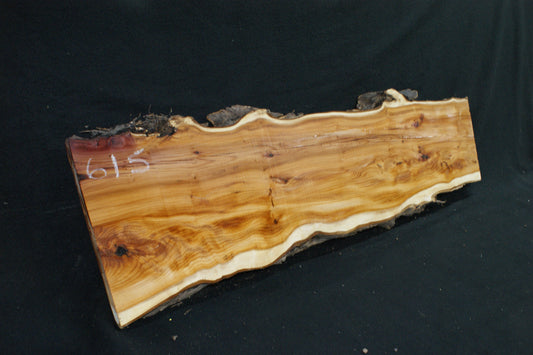 English Yew Shelf. (615)