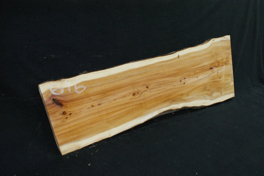 English Yew Shelf. (616)