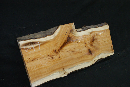 English Yew Shelf. (617)
