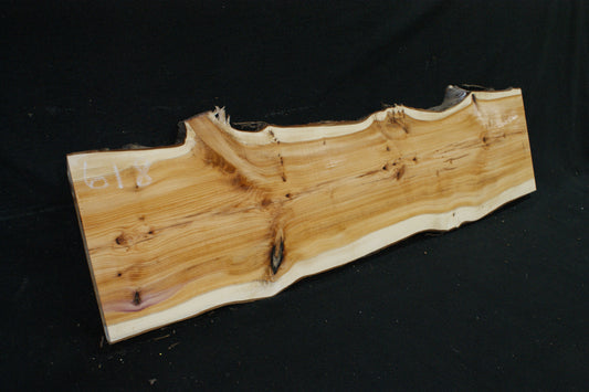 English Yew Shelf. (618)