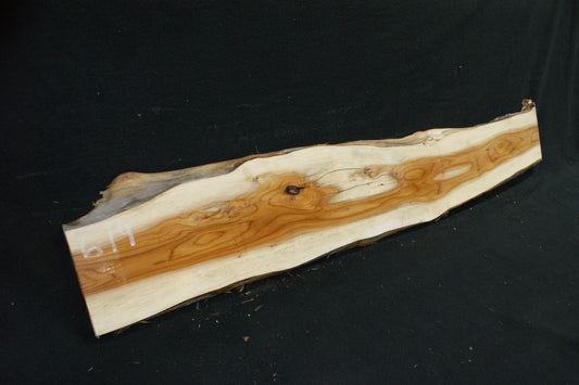 English Yew Shelf. (619)