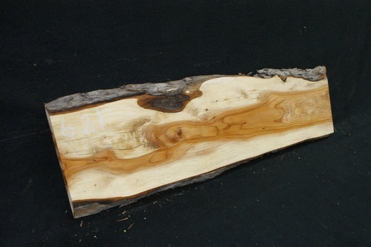 English Yew Shelf. (621)