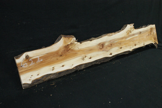 English Yew Shelf. (622)