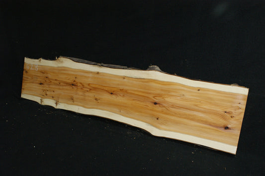 English Yew Shelf. (623)