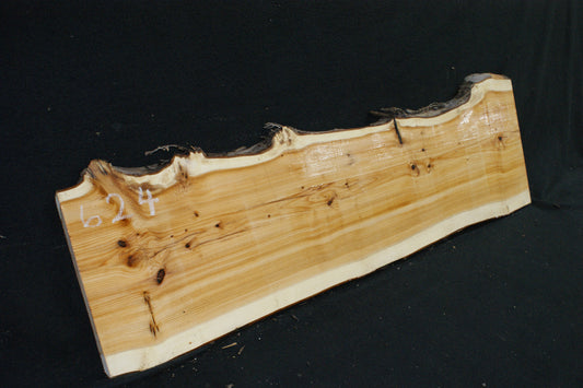 English Yew Shelf. (624)