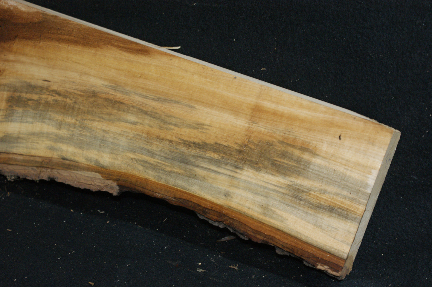 Lime wood   1036 L x 265 - 116 W x 45 D (mm)  (625)