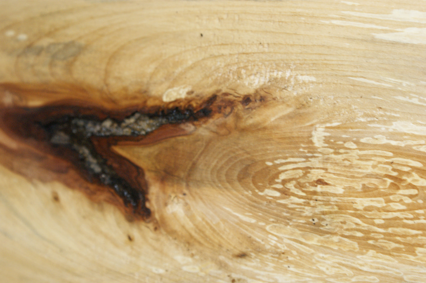 Lime wood     (630)