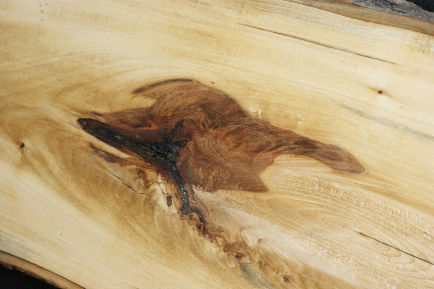 Lime wood     (630)