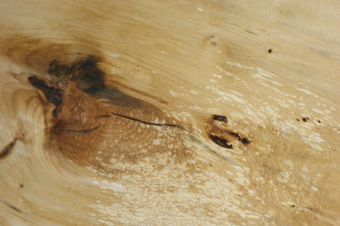 Lime wood     (634)