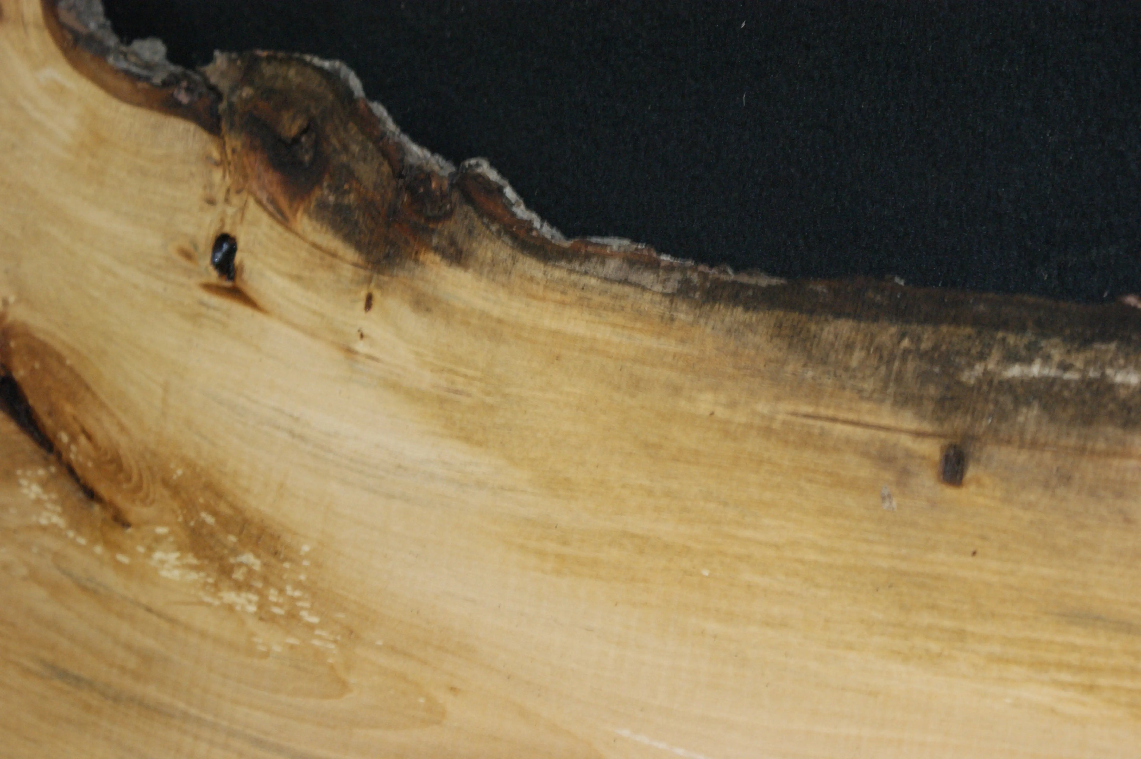 Lime wood  1125 L x 400 - 305 W x 29 D (mm)    (635) Lime
