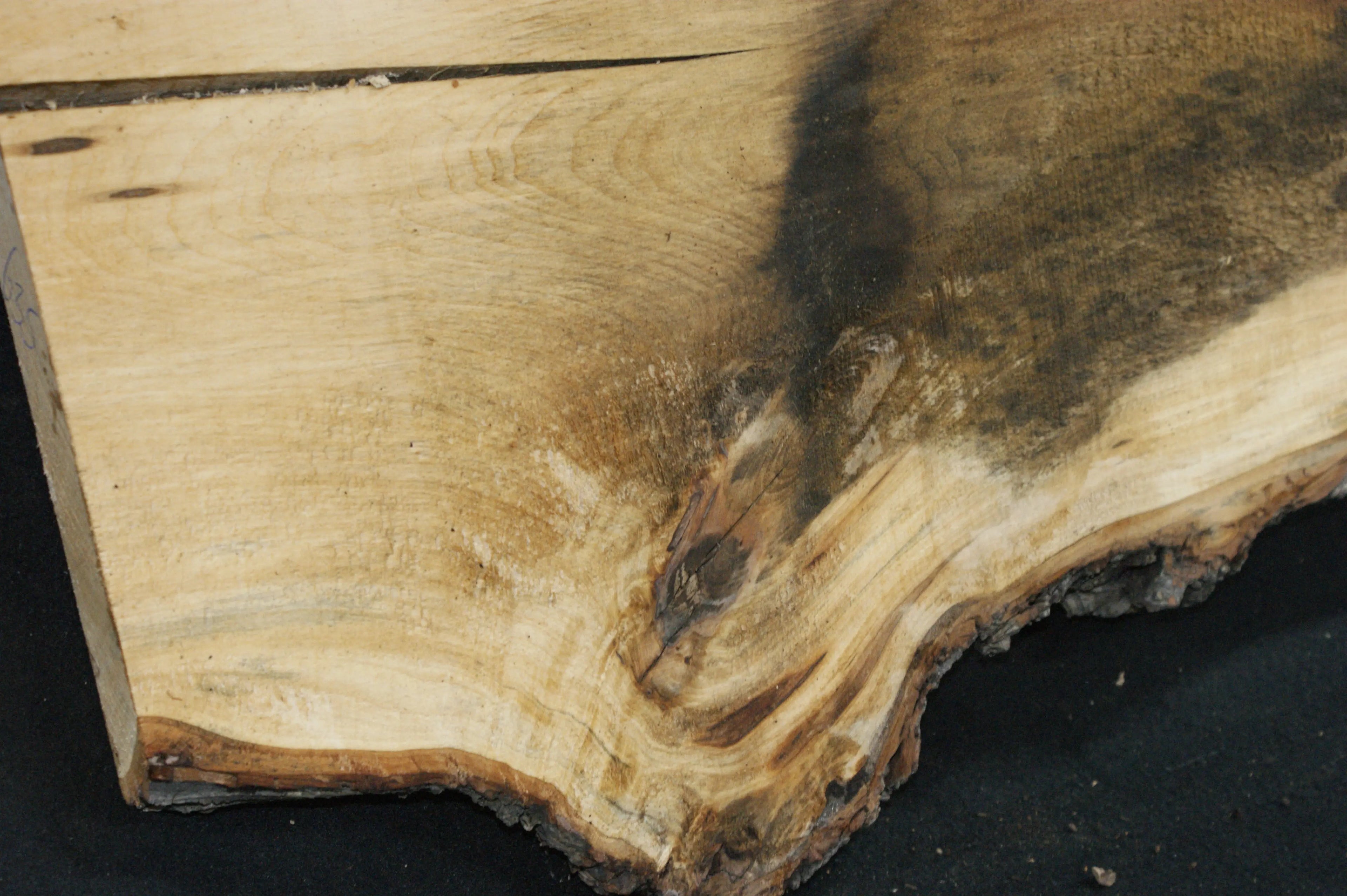 Lime wood  1125 L x 400 - 305 W x 29 D (mm)    (635) Lime