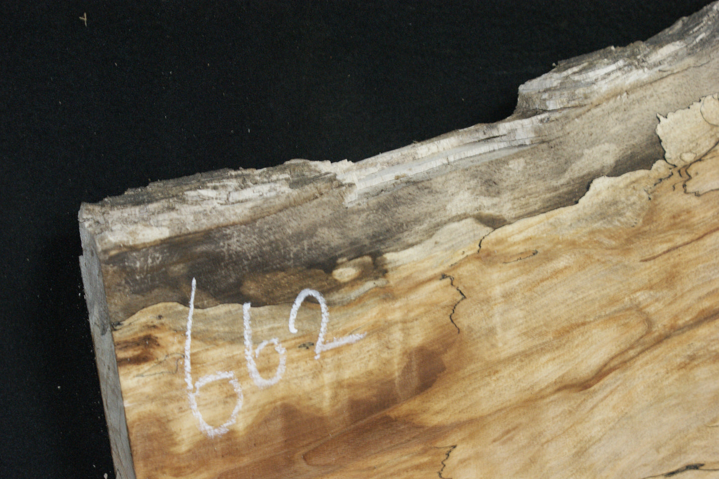 Spalted Beech   (662)