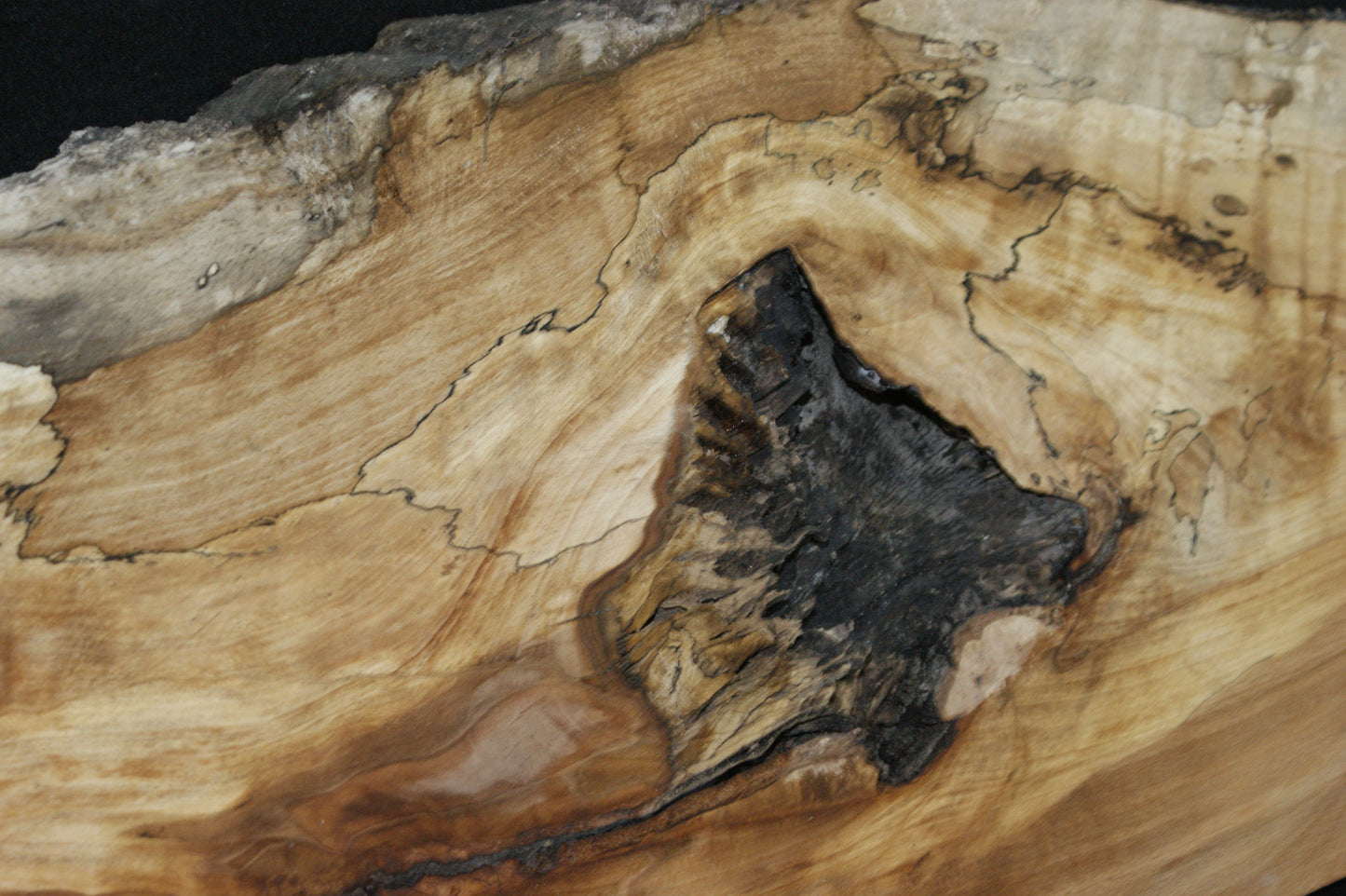 Spalted Beech   (662)