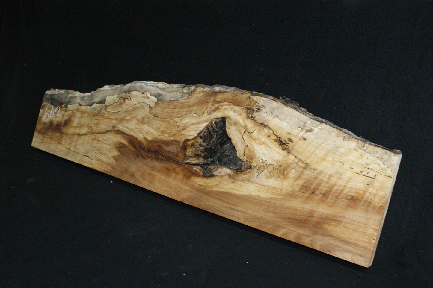 Spalted Beech   (662)