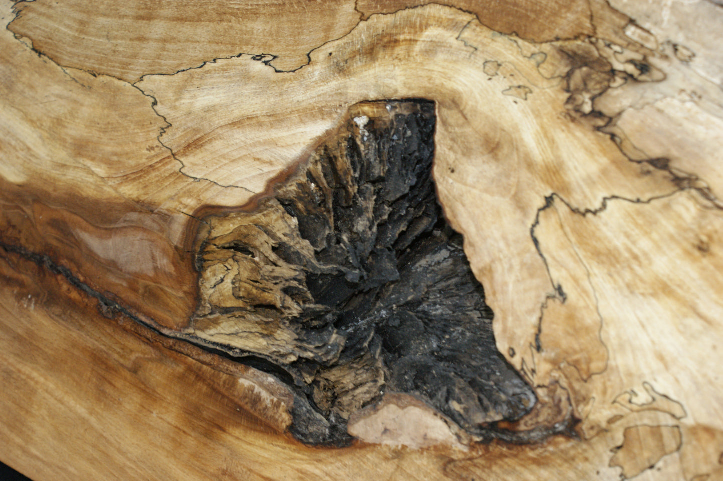 Spalted Beech   (662)