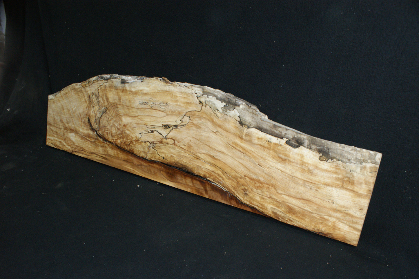 Spalted Beech   (663)