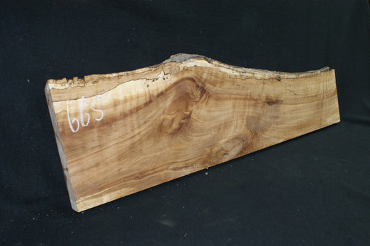 Spalted Beech   (665)