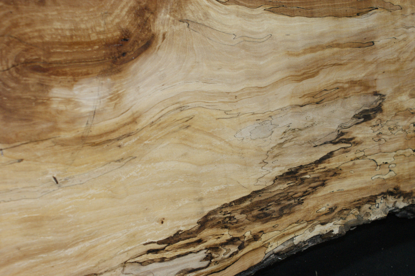 Spalted Beech   (667)