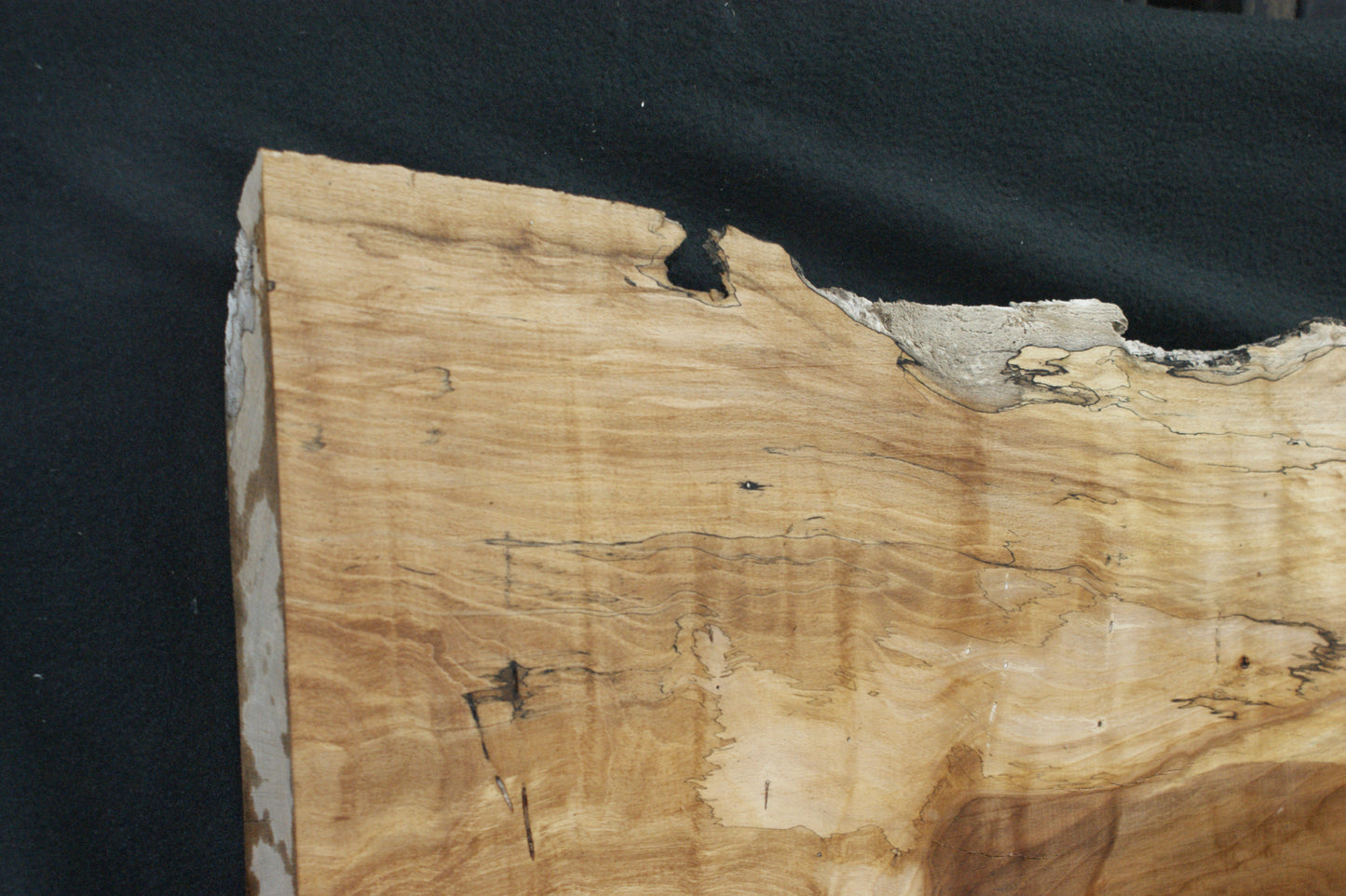Spalted Beech   (667)