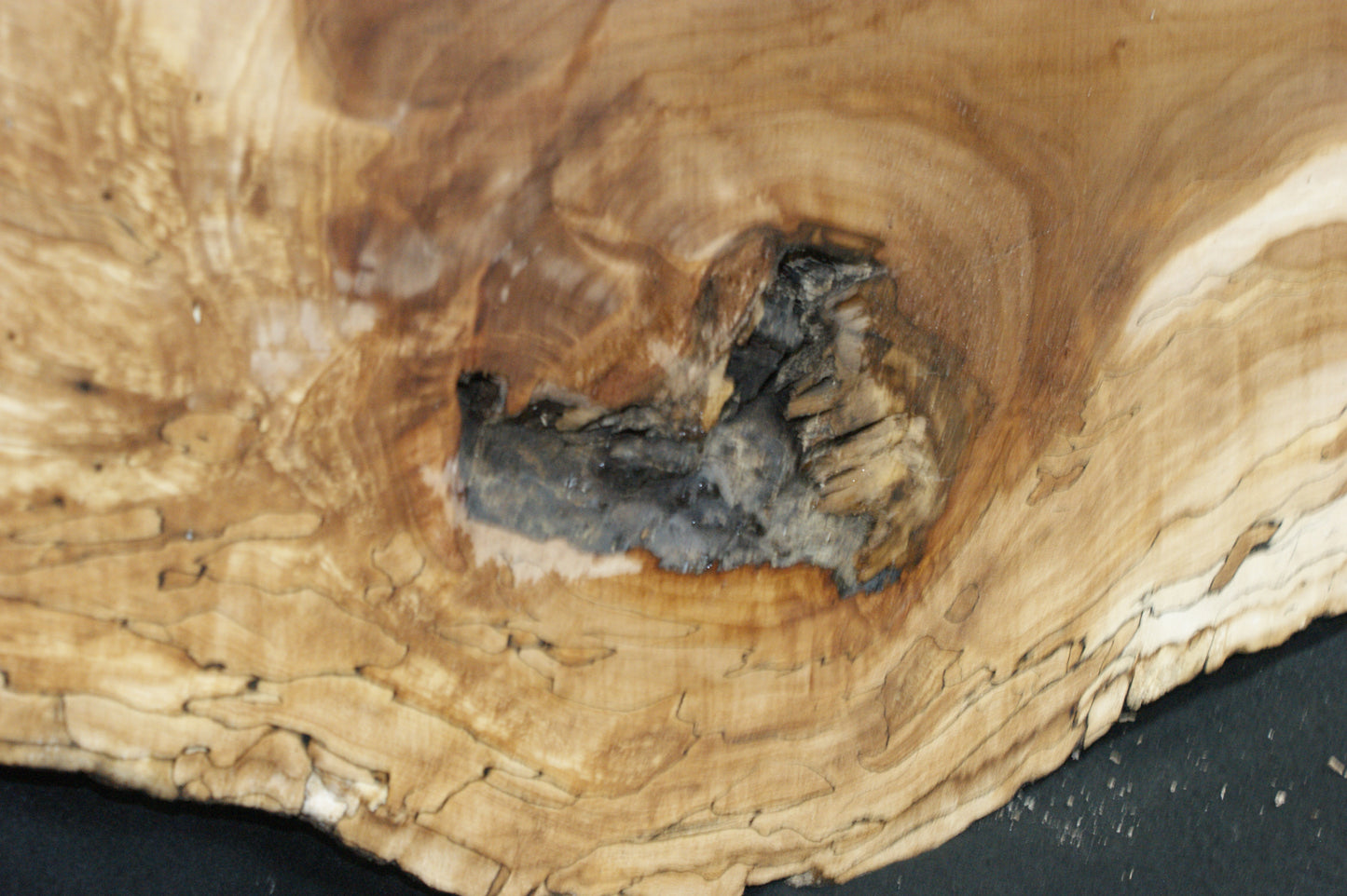 Spalted Beech   (667)