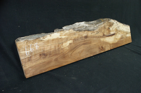 Spalted Beech   (668)