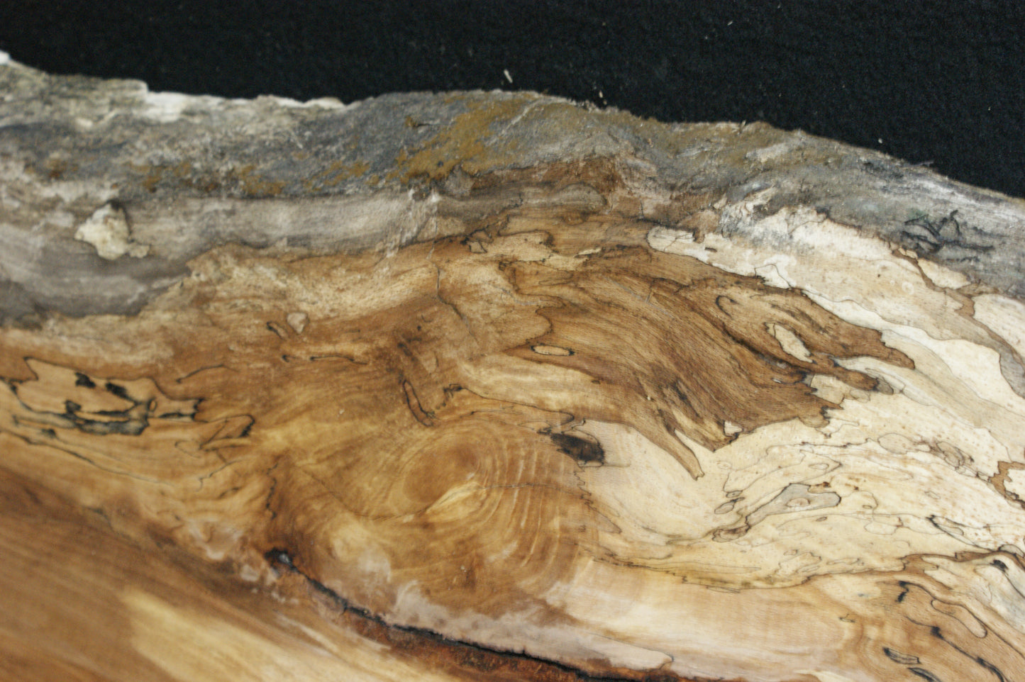Spalted Beech   (668)