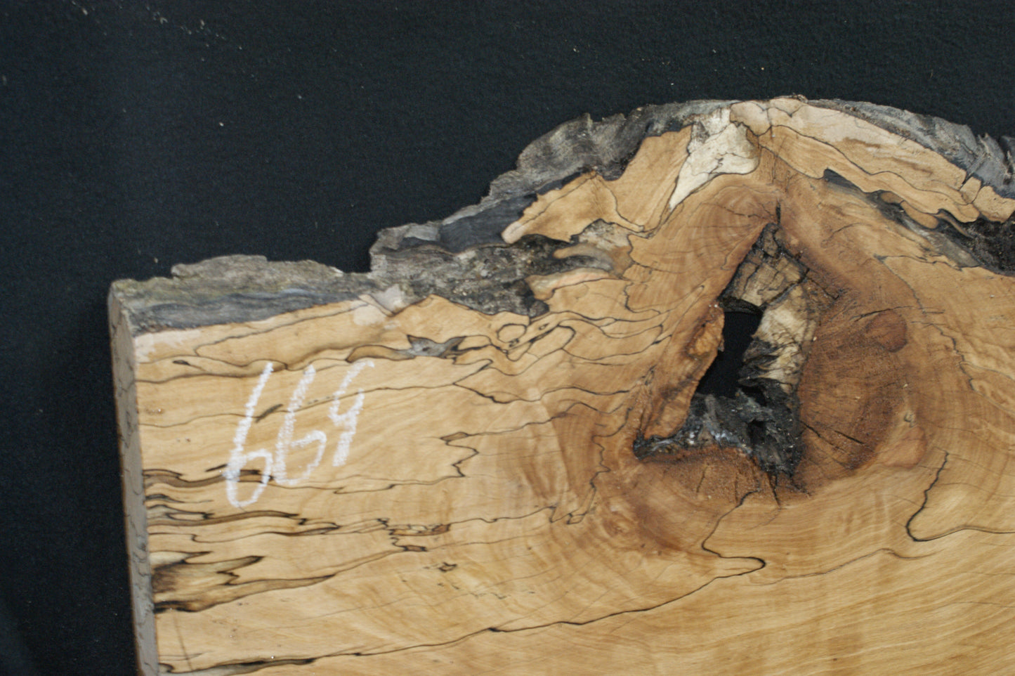 Spalted Beech   (669)