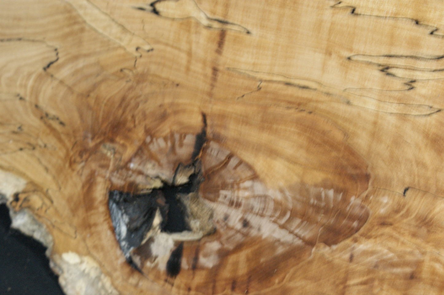 Spalted Beech   (669)