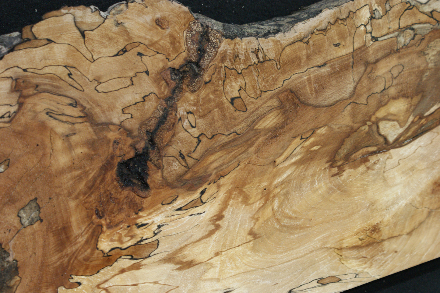 Spalted Beech   (674)