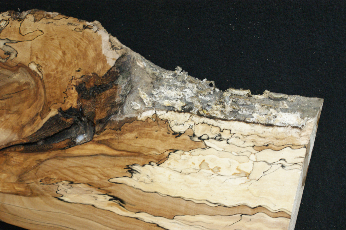 Spalted Beech   (674)