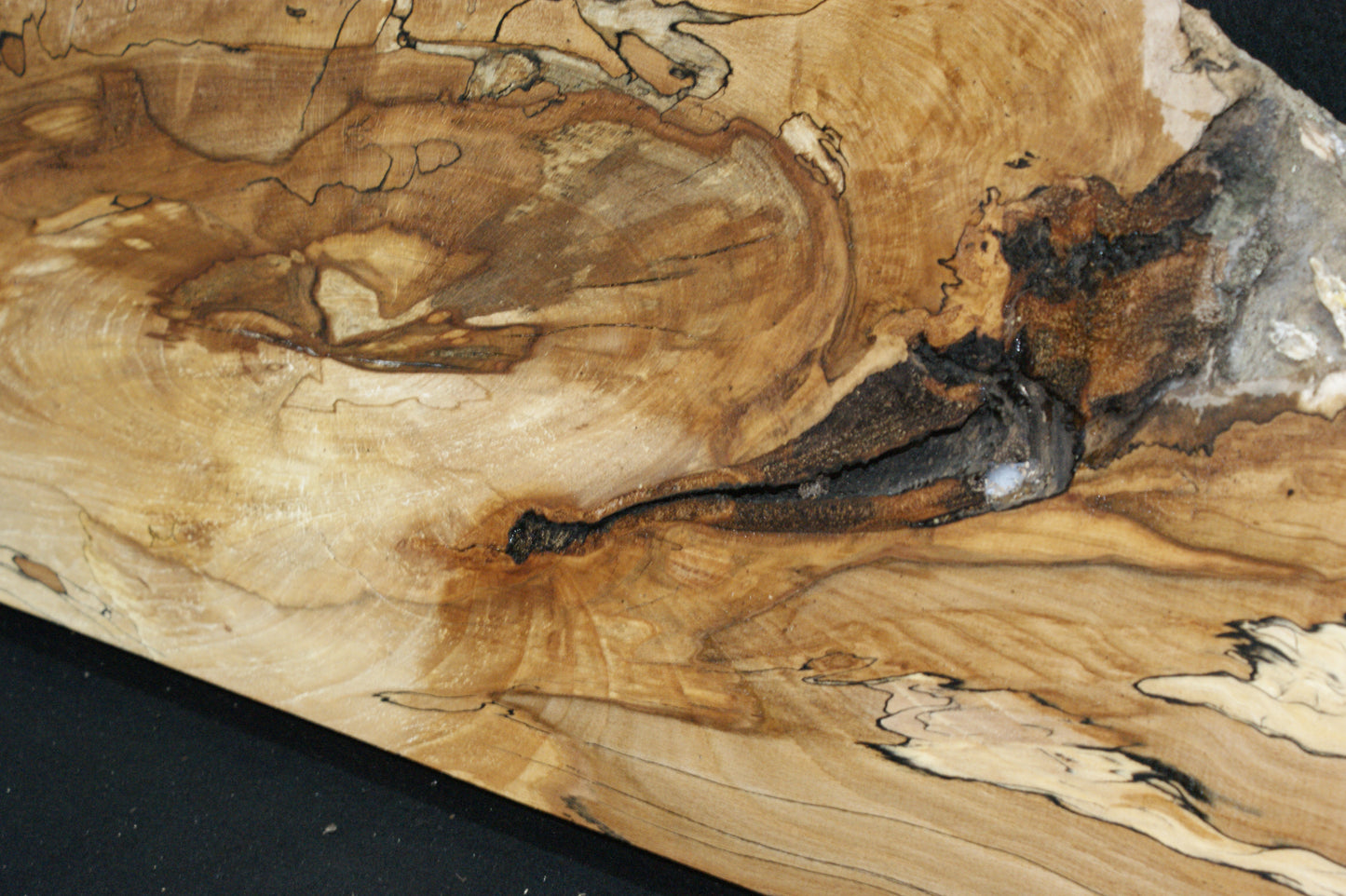 Spalted Beech   (674)