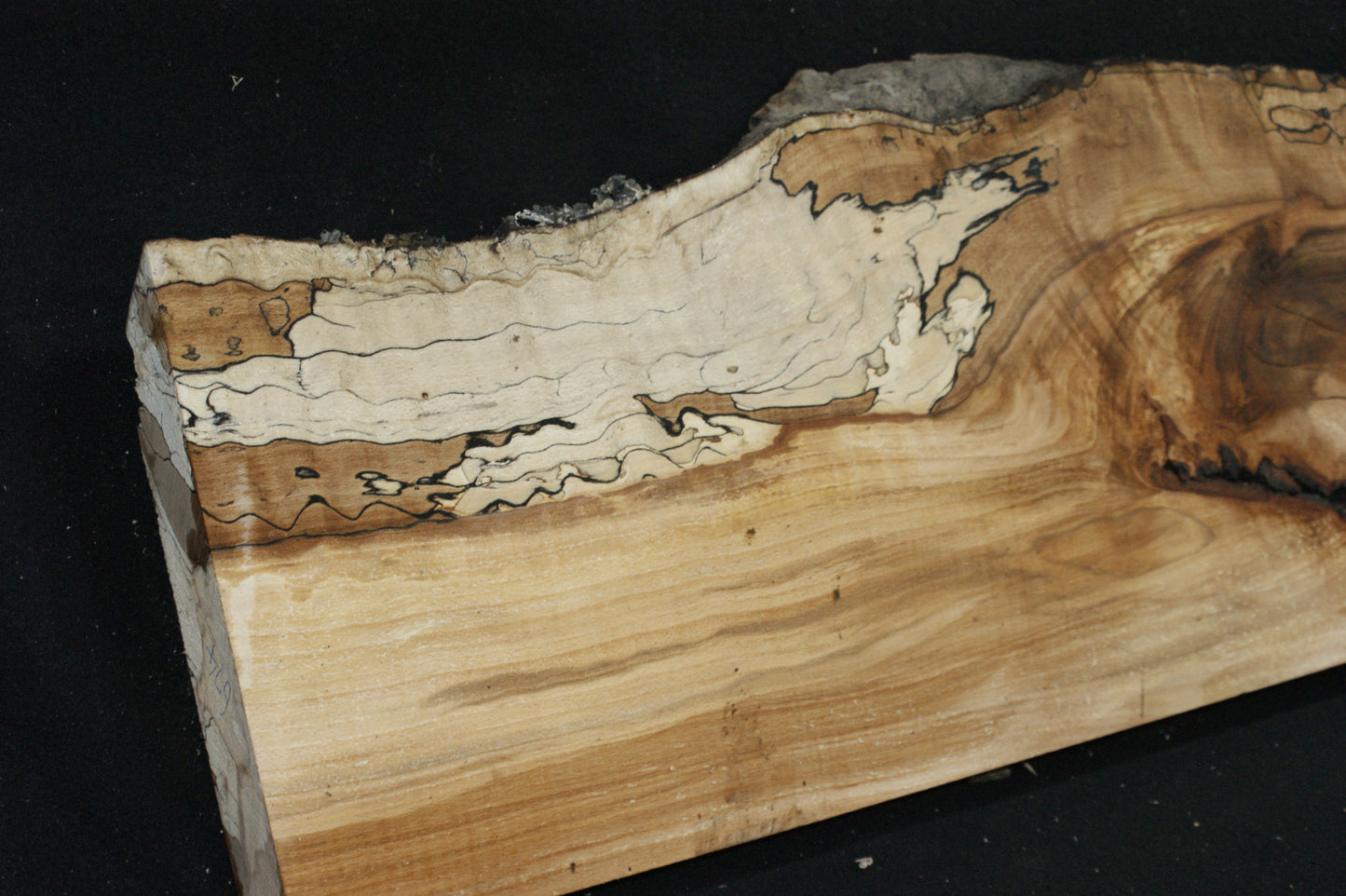 Spalted Beech   (674)