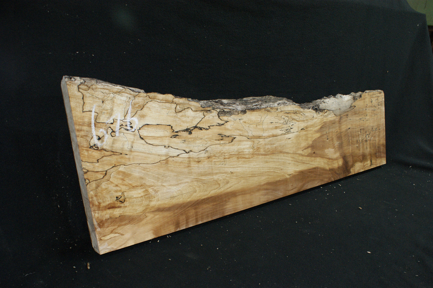 Spalted Beech   (676)