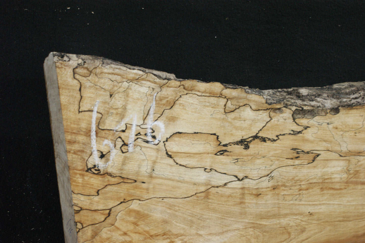 Spalted Beech   (676)