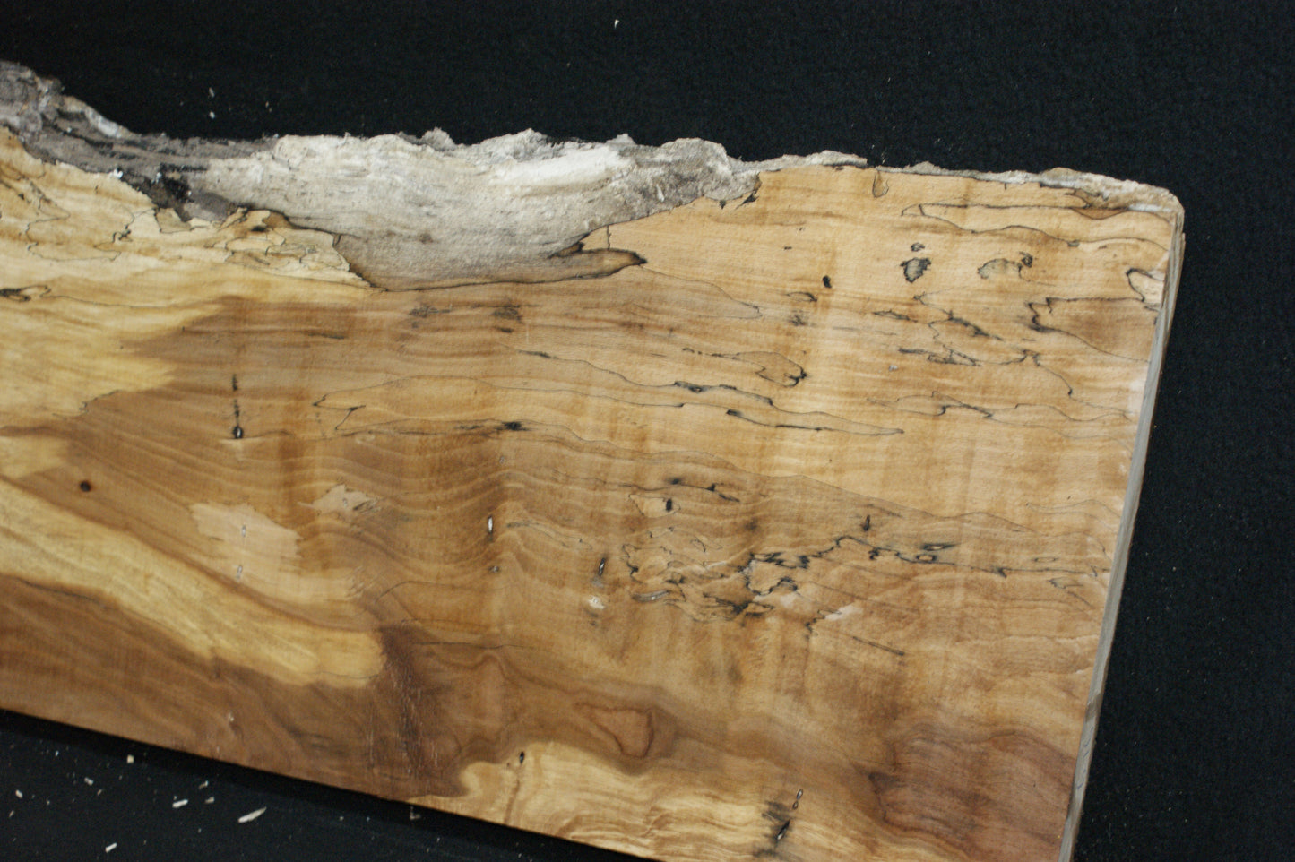 Spalted Beech   (676)