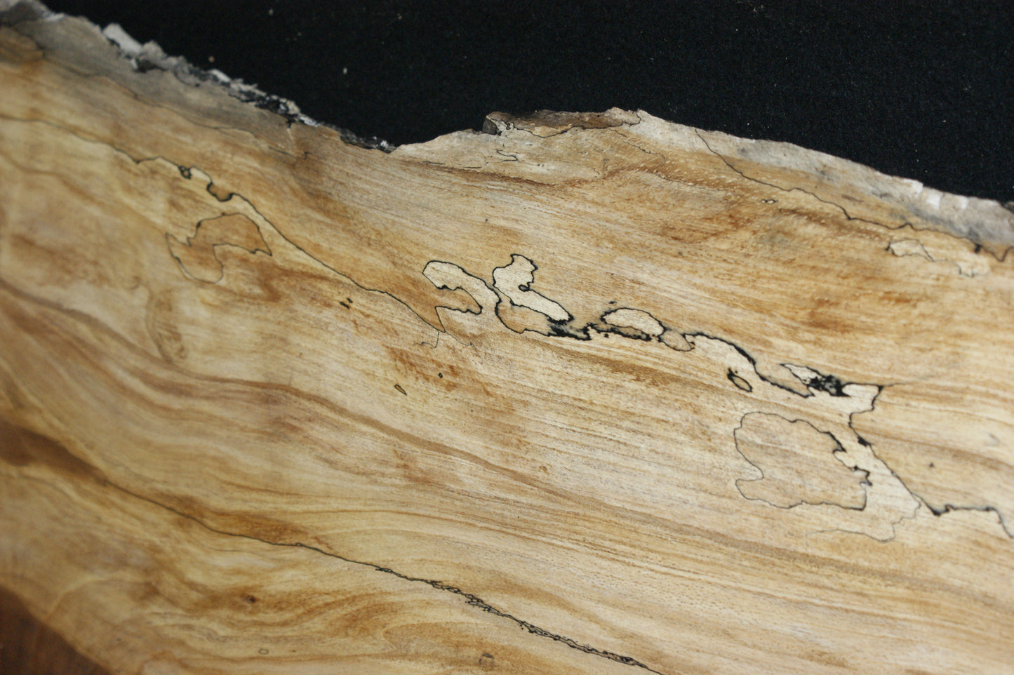 Spalted Beech   (676)