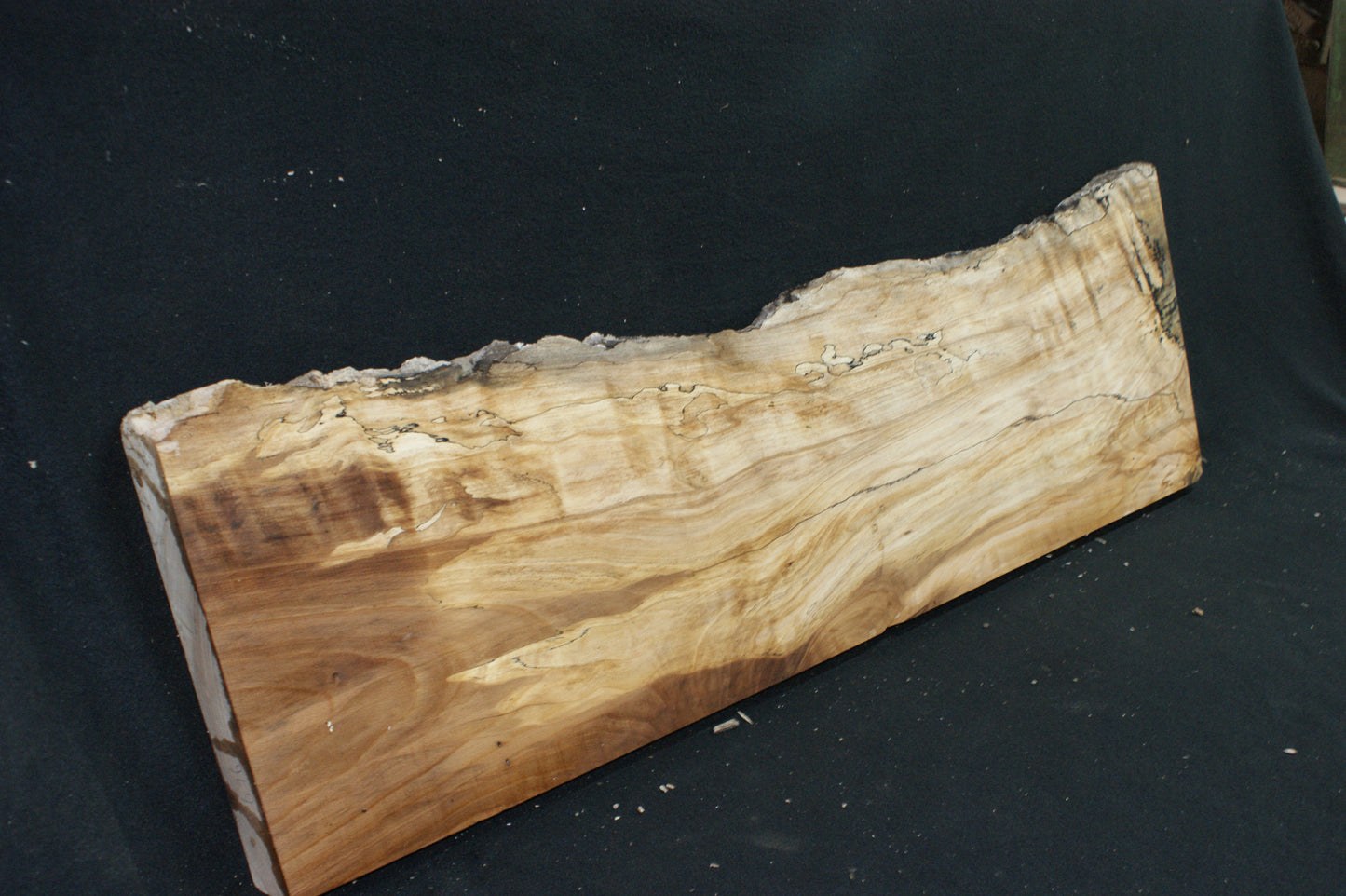 Spalted Beech   (676)