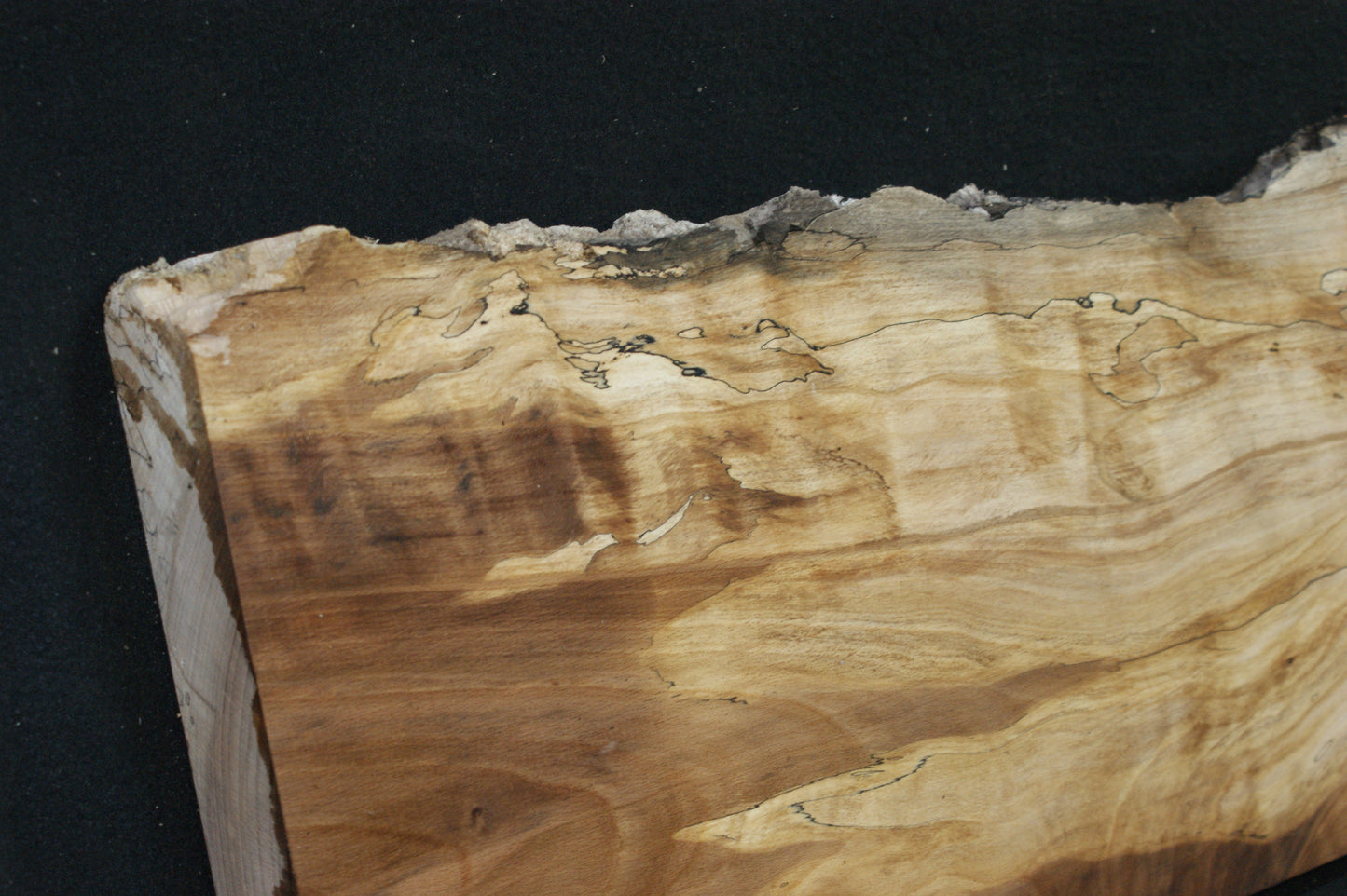 Spalted Beech   (676)