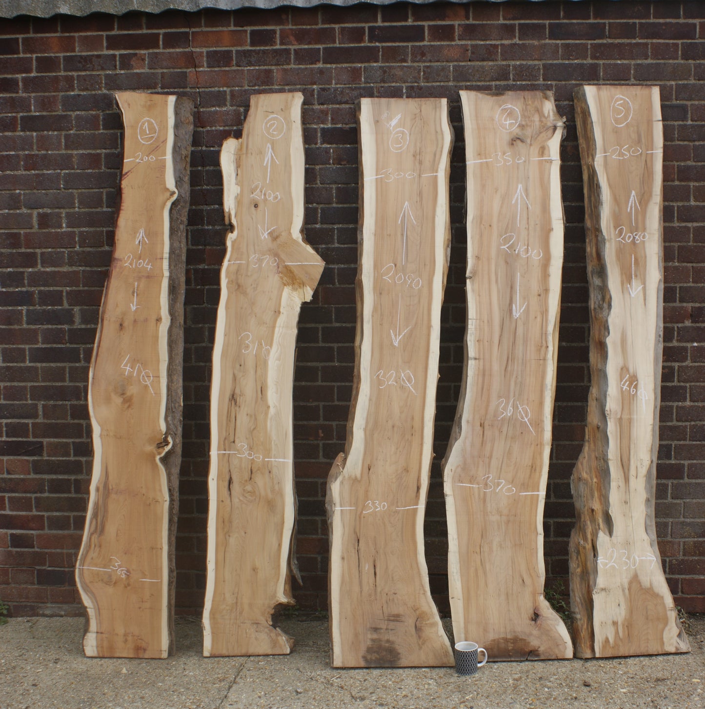 2 meter+-  31-46mm thick English Yew    (787-791)